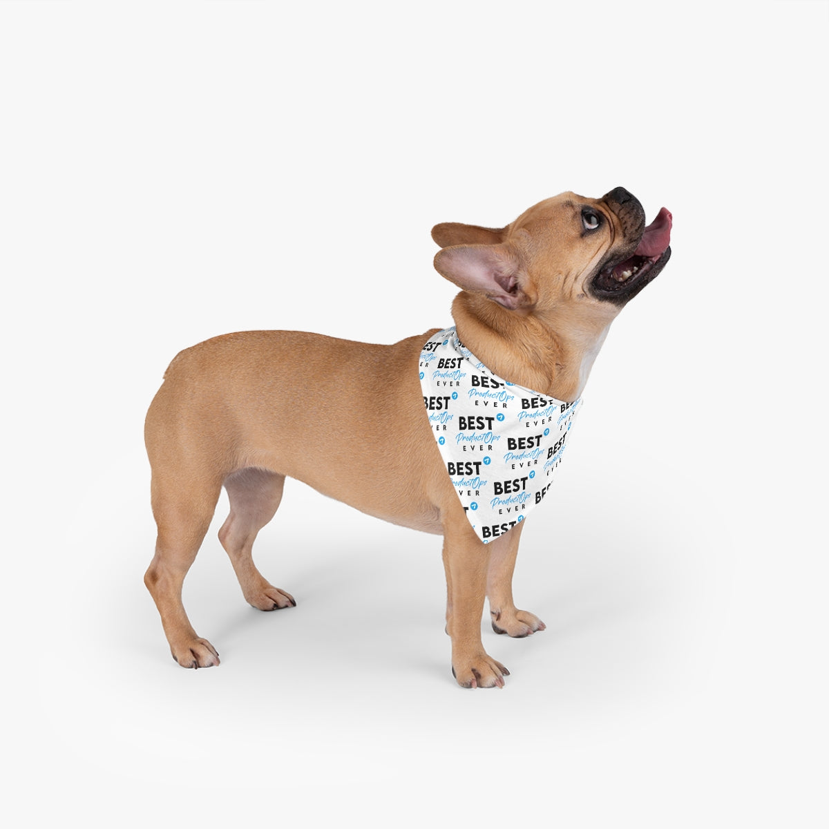 Best Product Operations - Light Blue - Pet Bandana